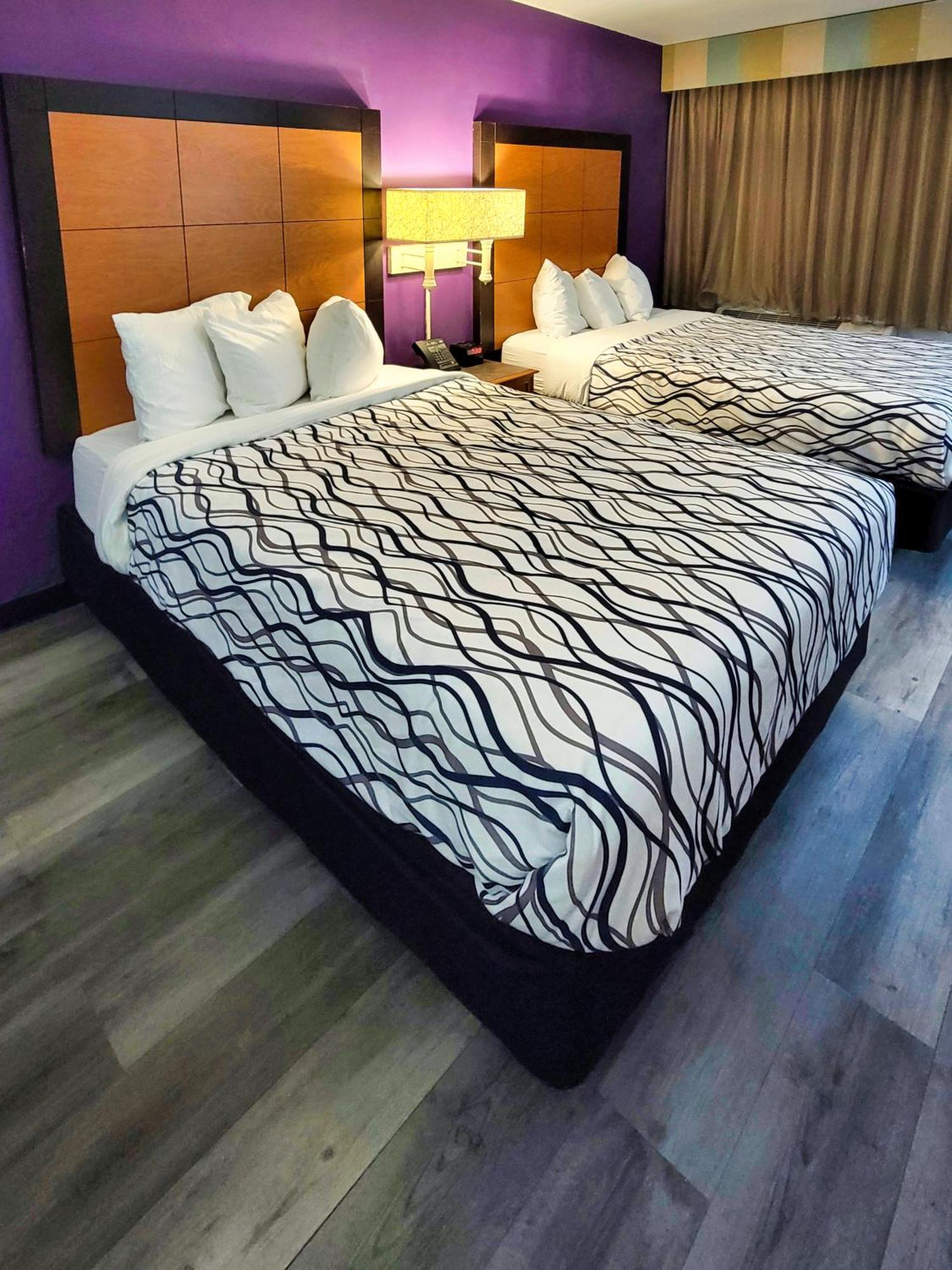 La Quinta Inn By Wyndham Amarillo West Medical Center Ngoại thất bức ảnh